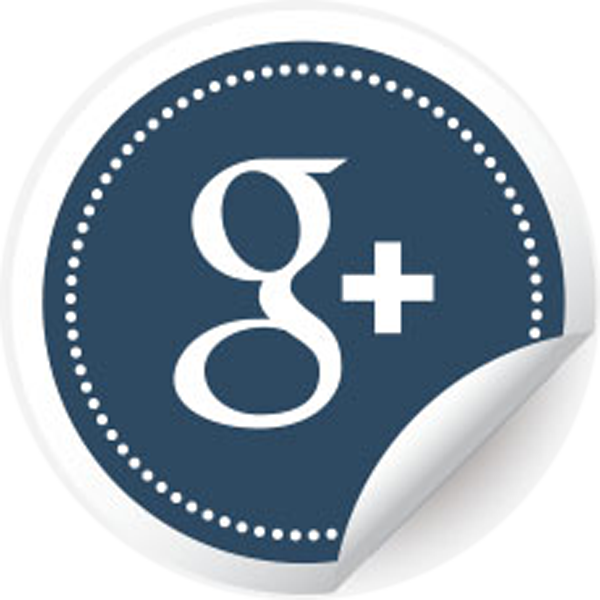 Google Plus icon